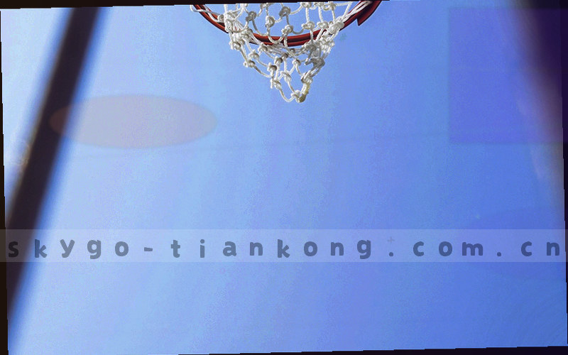 线条数据趋势图，展示体育数据平台用户规模与数据更新量同步增长的曲线